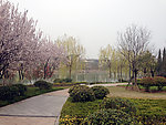 公园春天