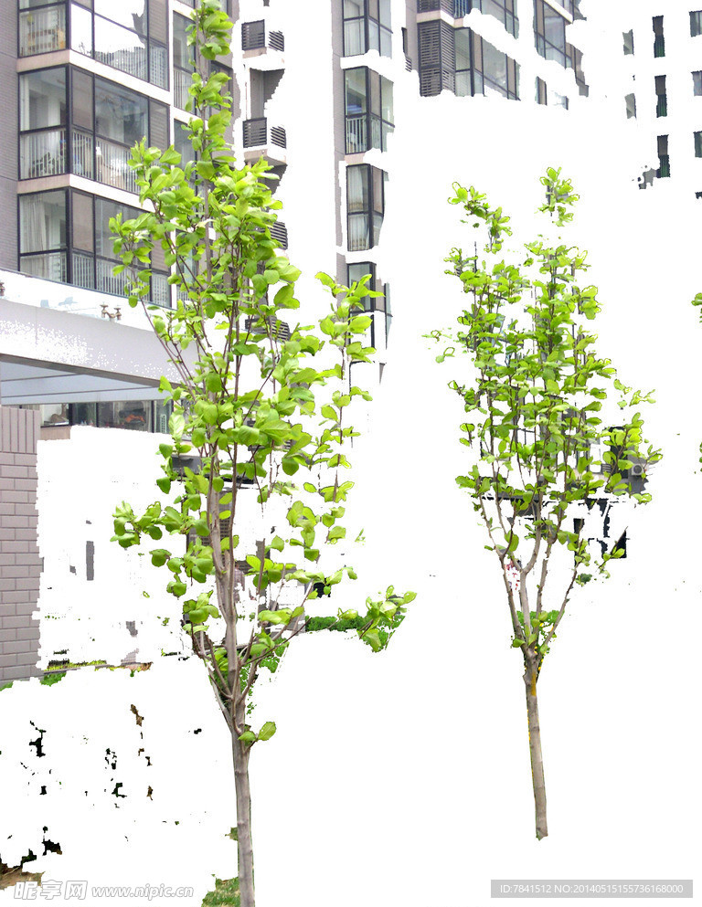 植物建筑素材
