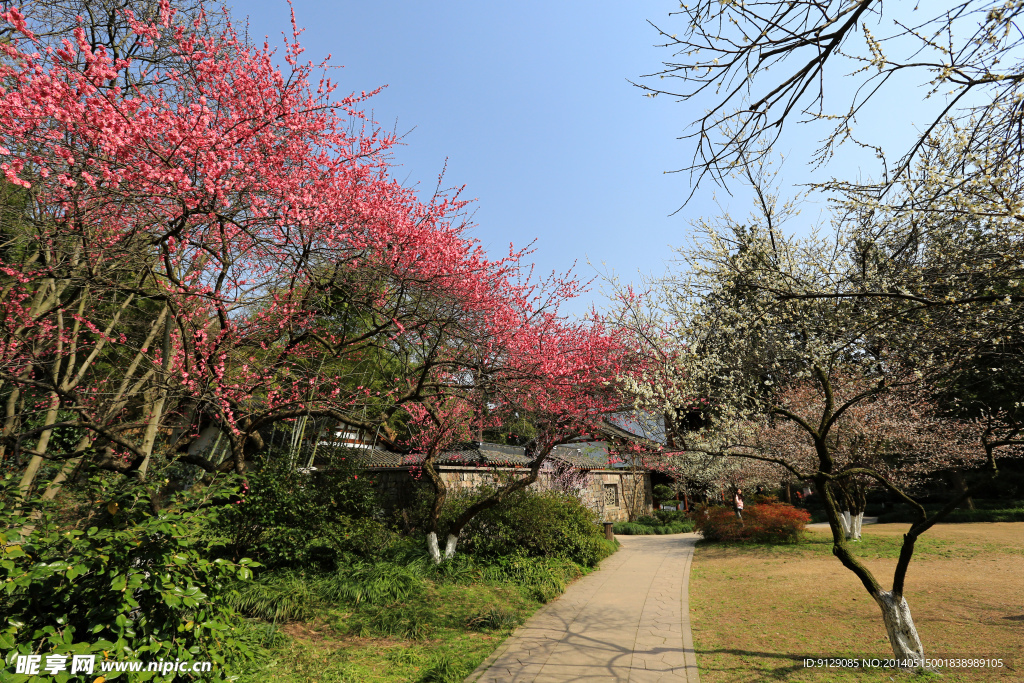 杭州植物园