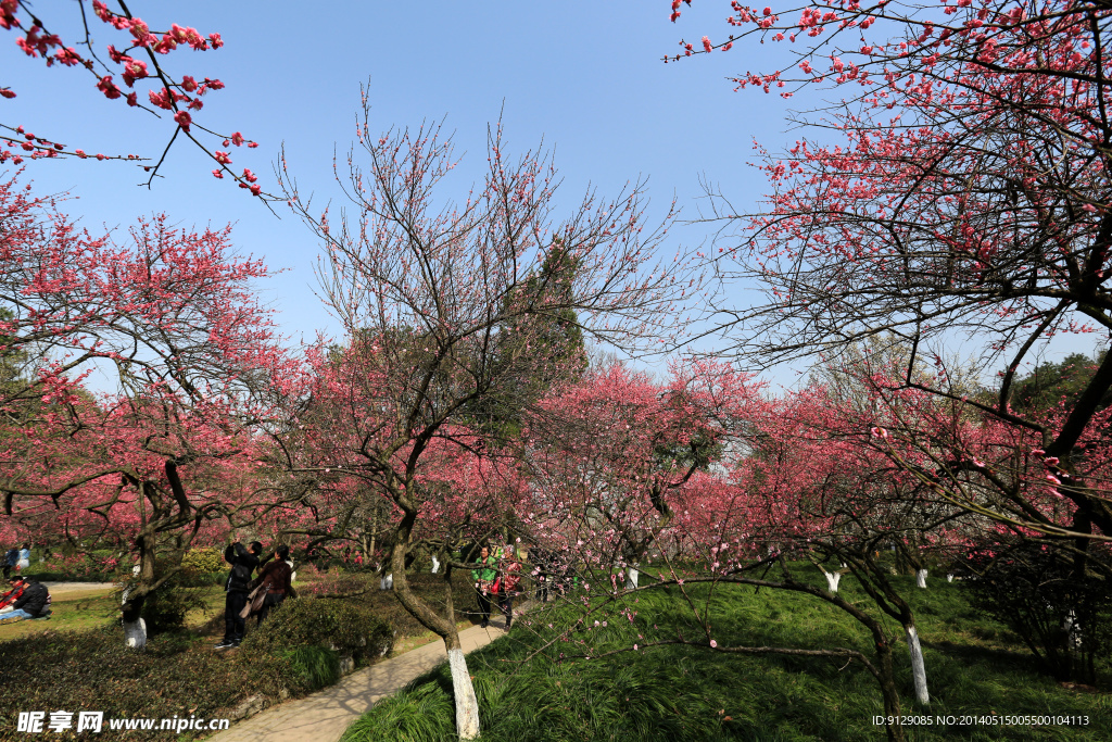 杭州植物园