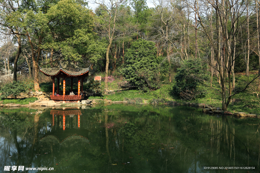 杭州植物园