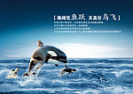 【海阔凭鱼跃 天高