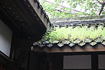屋顶