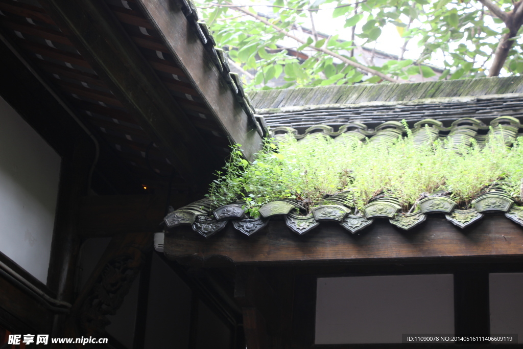 屋顶