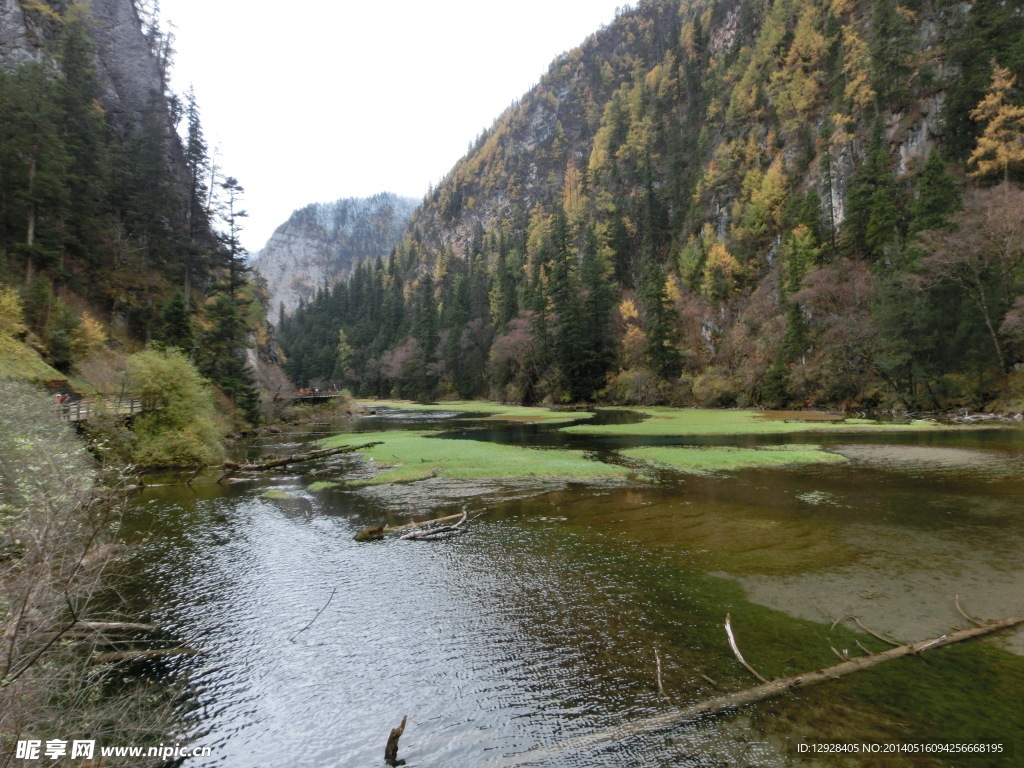 天鹅湖