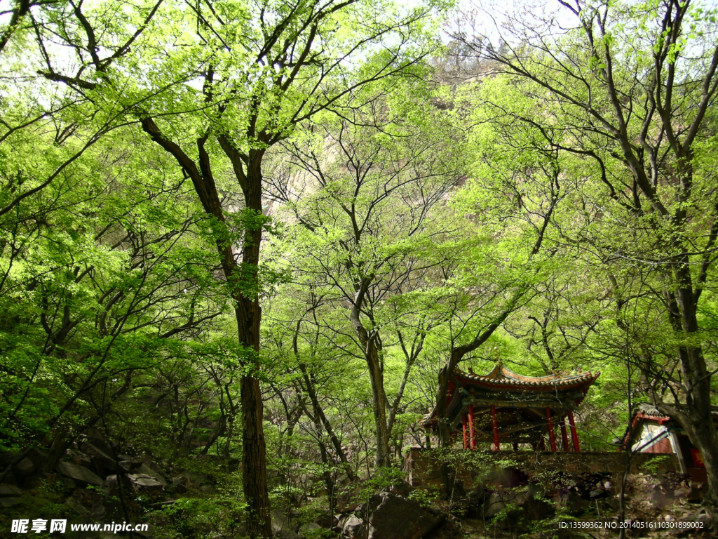 苍岩山