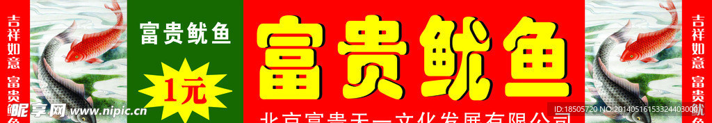 富贵鱿鱼背景图片