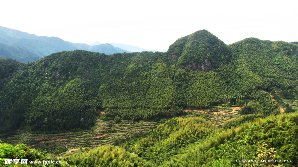 青山