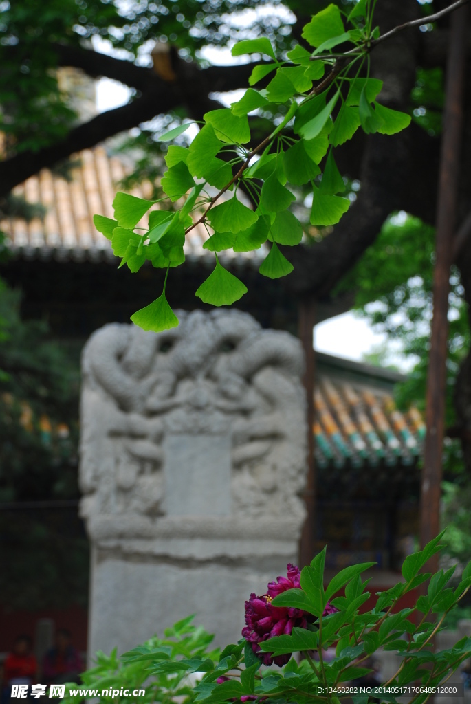 潭柘寺