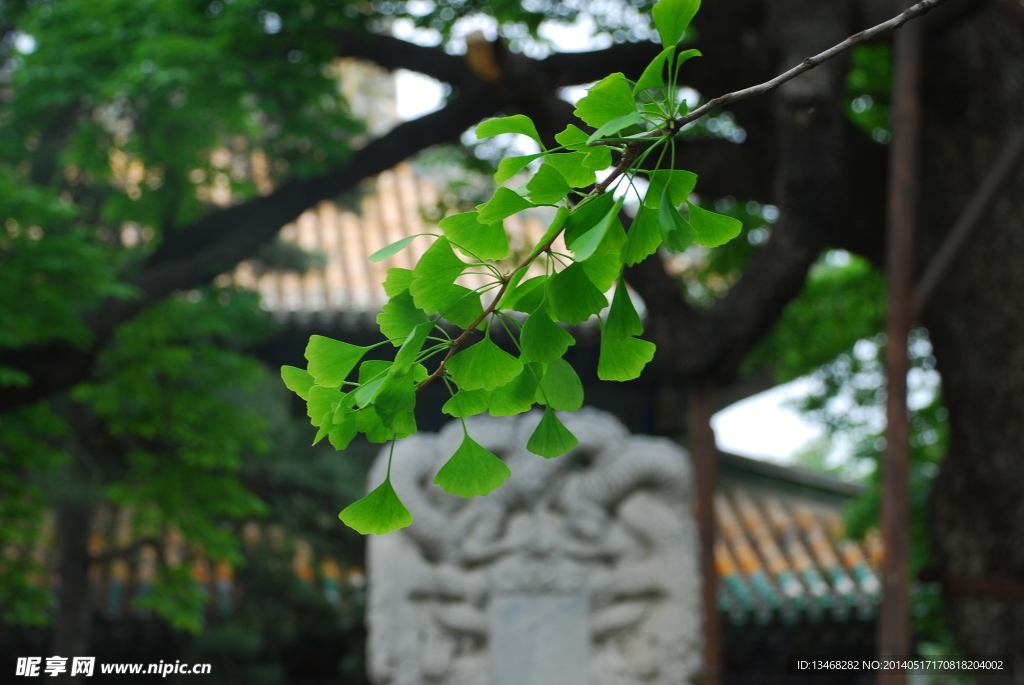 潭柘寺