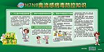 H7N9 禽流感病毒