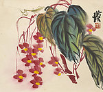 花虫国画