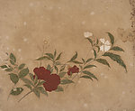 静物国画