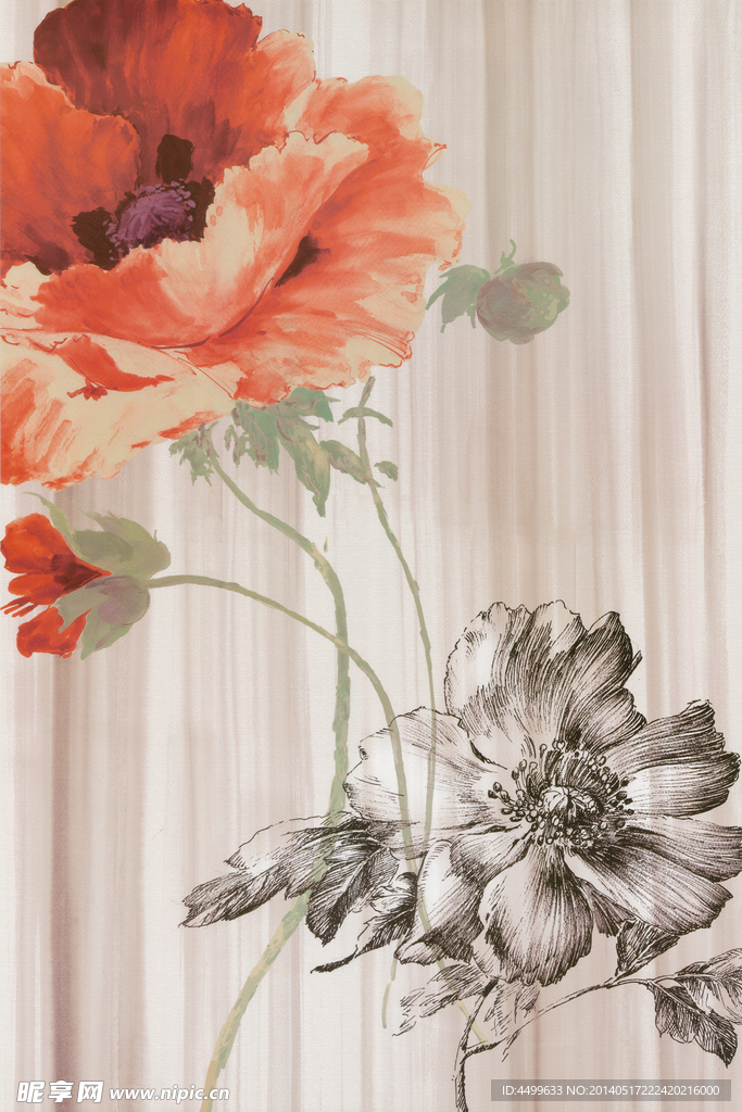鲜花插画