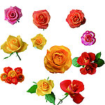 鲜花素材