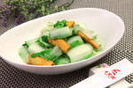 虎皮毛毛菜