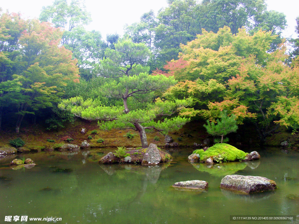 新西兰风景