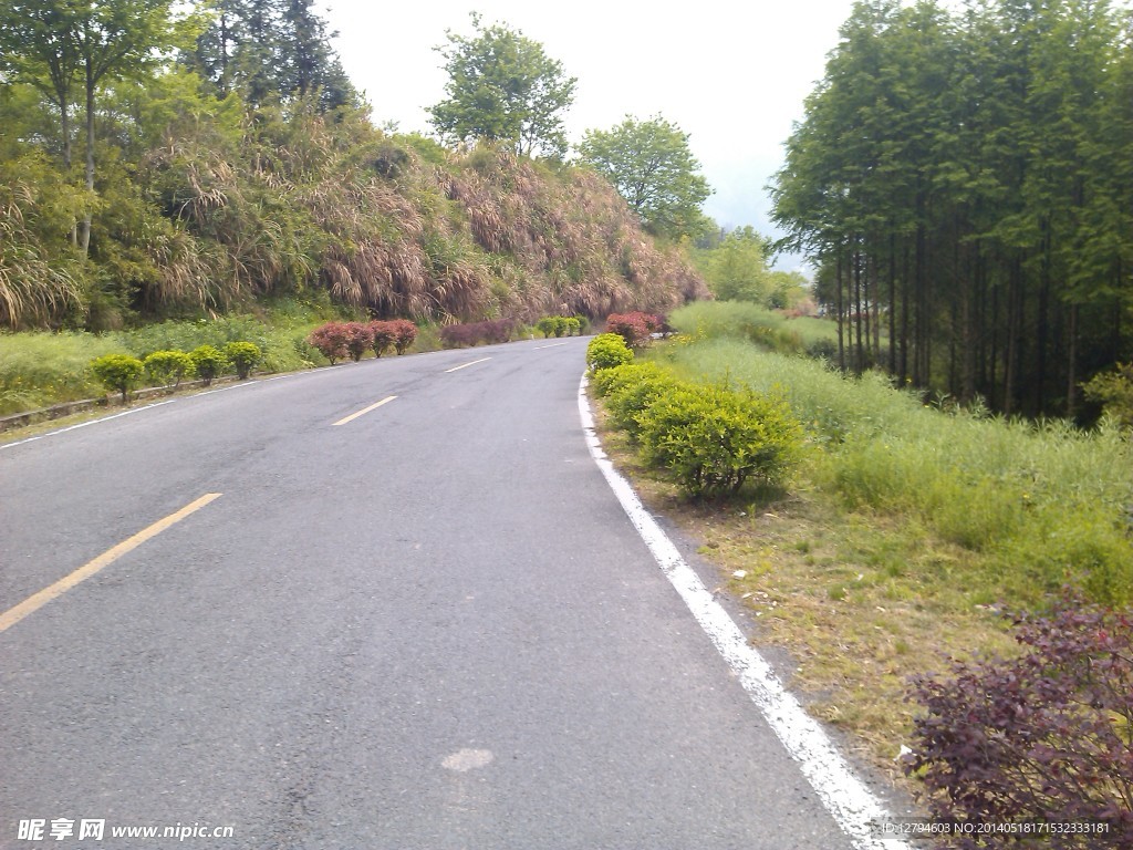 弯曲道路上的风景