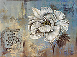 菊花 无框画