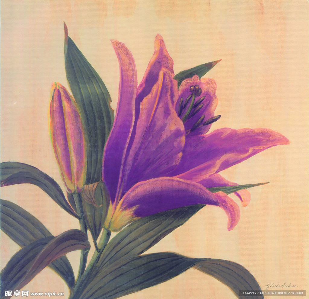 百合花