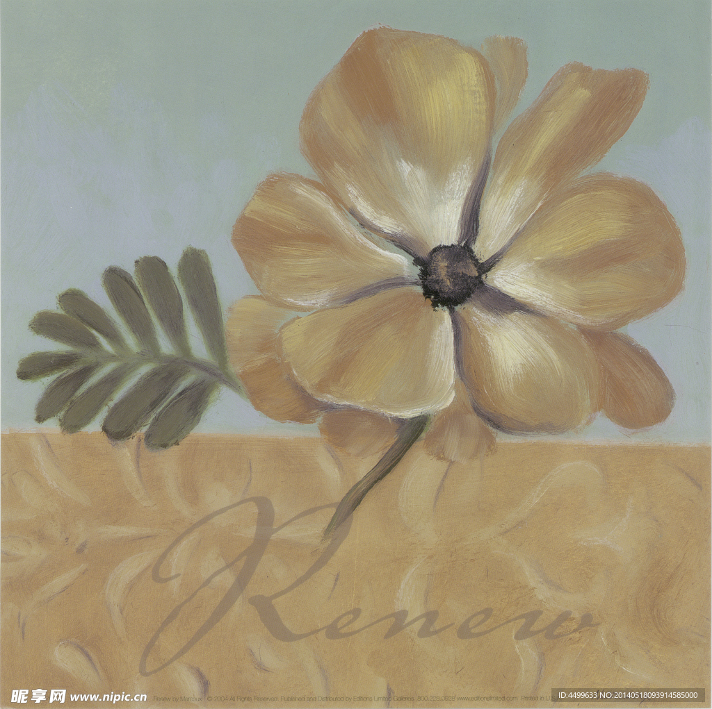 鲜花绘画