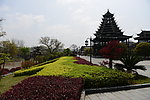 怀化芷江古树