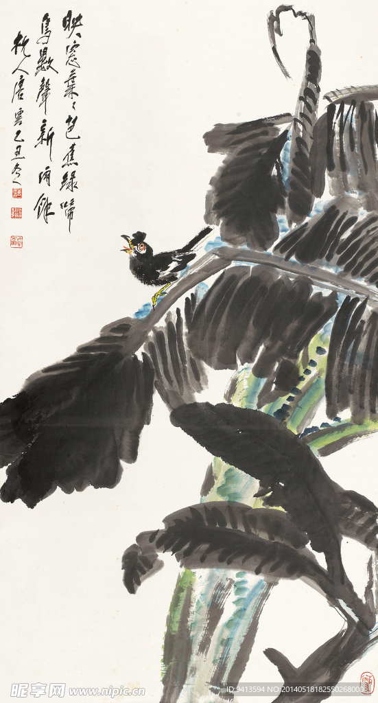 芭蕉鸣禽