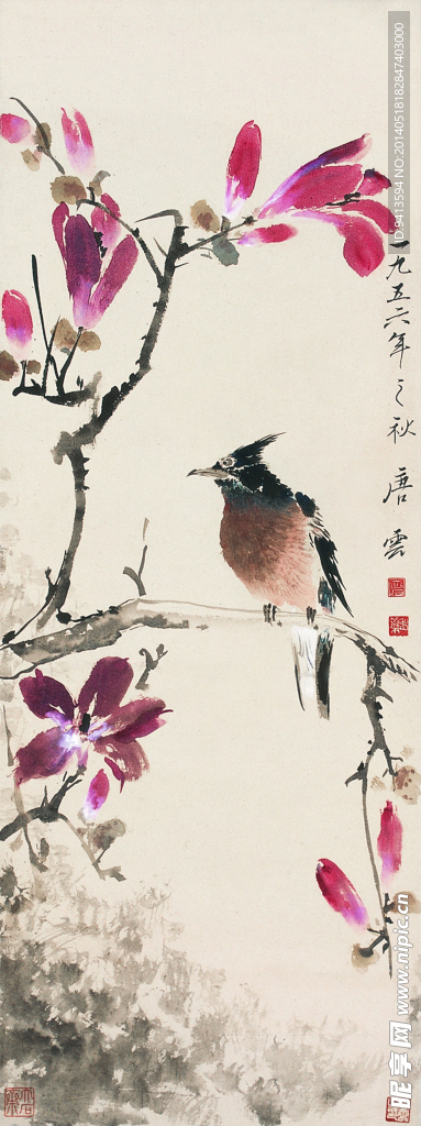 花鸟国画