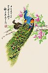 孔雀