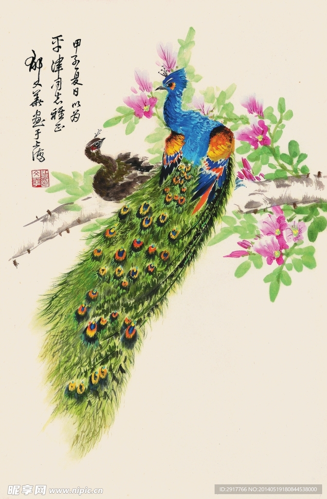 孔雀