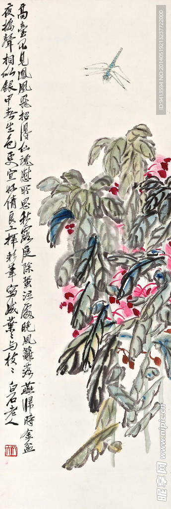 豆荚蜻蜓