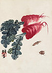 红萝卜