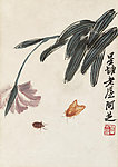 兰花
