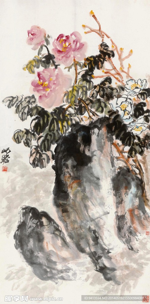 牡丹