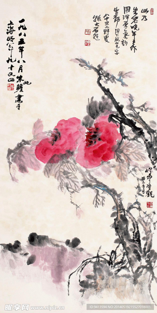 牡丹