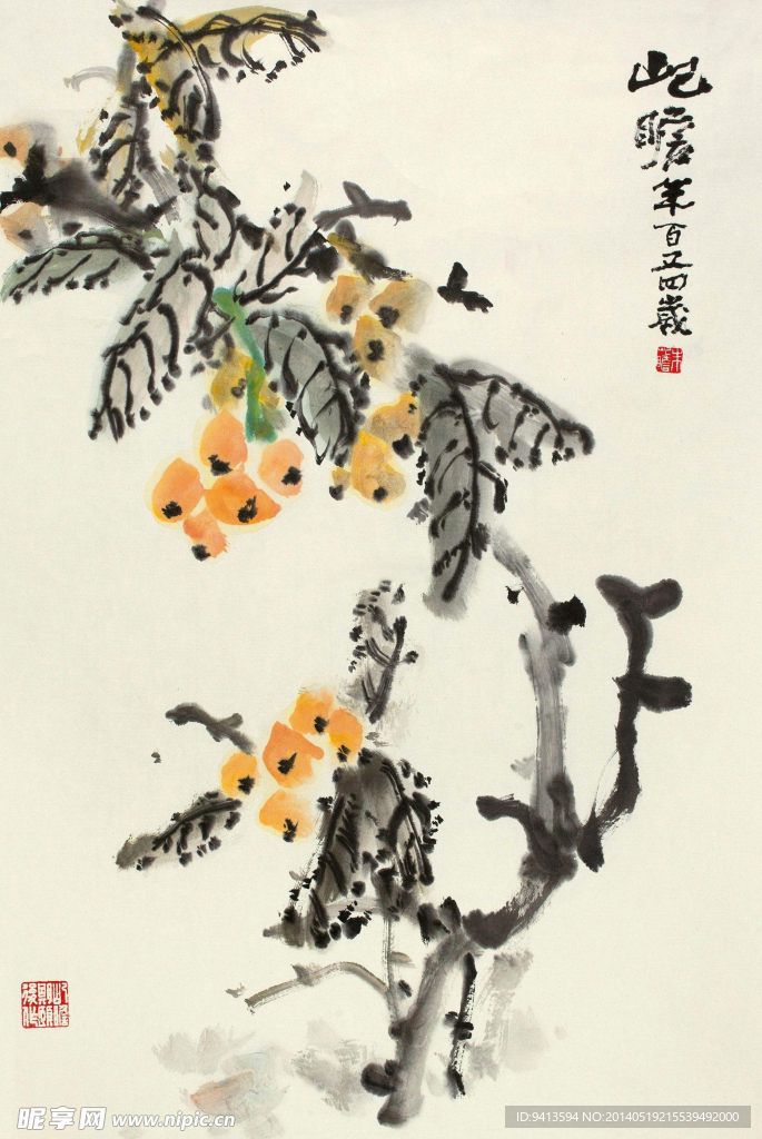 枇杷