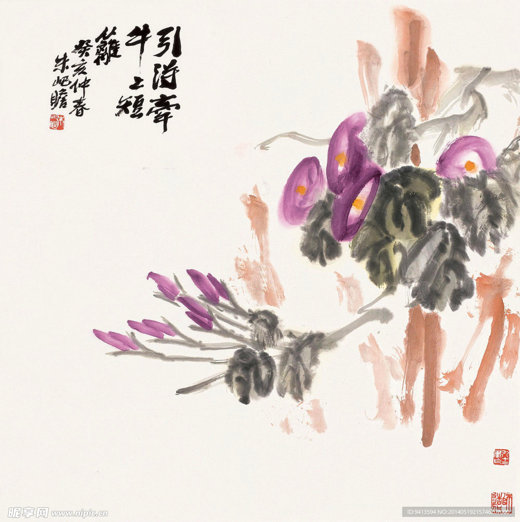 牵牛花