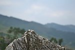 大山