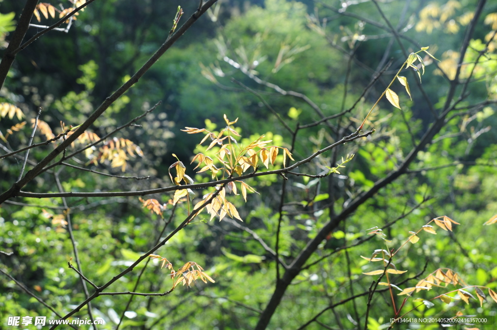 焦作净影寺景区风光