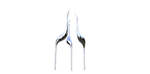 仙鹤