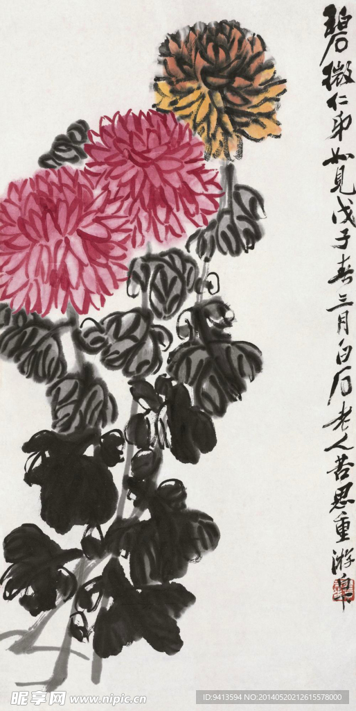 菊花