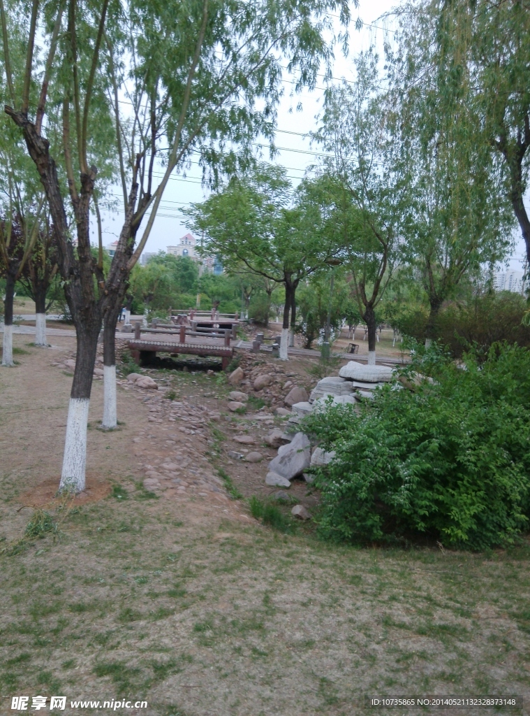 绿树小桥