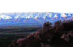 青山