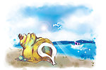 梦幻海滩海螺