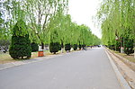 公园