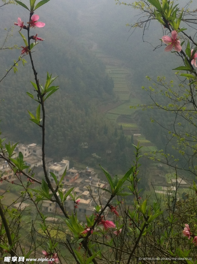 风景