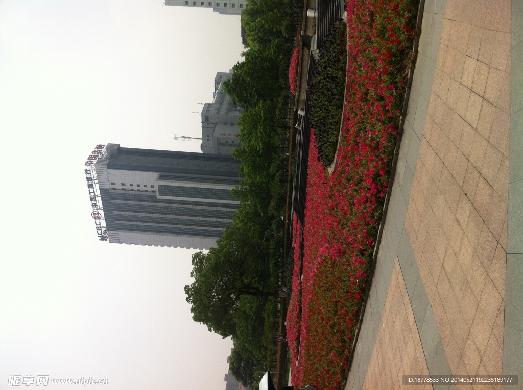 风景