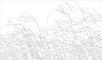 玻璃花纹