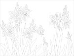 玻璃花纹