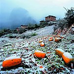 香格里拉乡间田园雪景